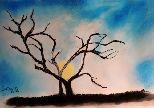 atardecer