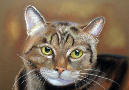 animales que nos miran (1)