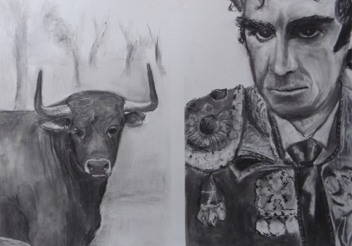 TORO Y TORERO