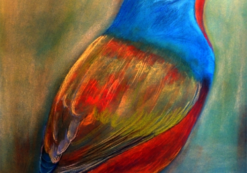 EL PAJARO
