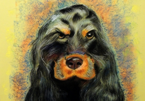 animales que nos miran (3)