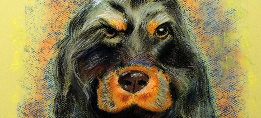 animales que nos miran (3)